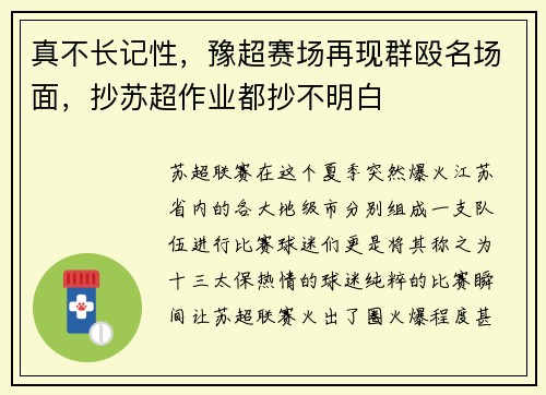 真不长记性，豫超赛场再现群殴名场面，抄苏超作业都抄不明白